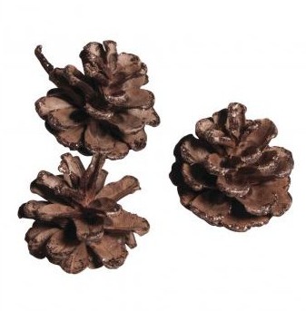 Pine cone, 4cm, 70g