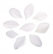 Feathers cutted / 5-6cm / 36pcs / white