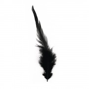 Trendy feather 10-15 cm / 2 g / black