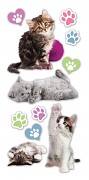 Sticker - Puffy - Kittens / vypuklé samolepky 