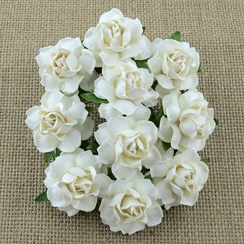 Kwiat papieru / Cottage Roses 2,5cm / 5szt / White