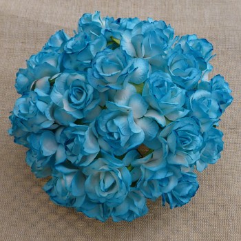 Papírové květy / Wild Roses 3cm / 10ks / 2-tone Turquoise