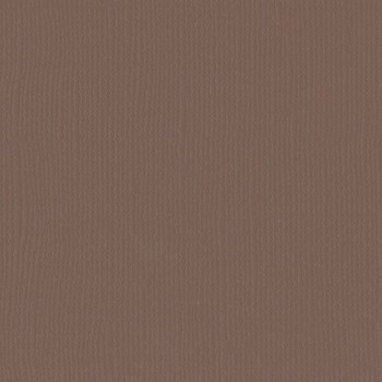 Texturovaný kartón 12x12"/ 216g/m2 / bear / 1ks  