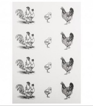 Vodné samolepky / Chicken family / 2ks