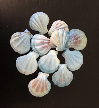 Shells / 50g / blue