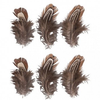 Feathers, 5-10cm, 6pcs, brown