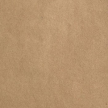 Kartón na scrapbooking - kraft lepenka 2mm / 12x12" / 1 ks  