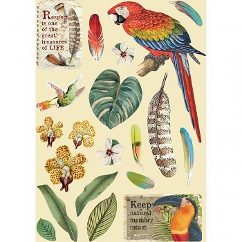 Wooden shape A5 / Amazonia Parrot