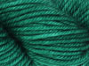 Ashford protein dye 10g / Shamrock