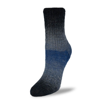 Пряжа для вязания Flotte Socke 4-ply Kolibri / 100г / 420 м / 6205